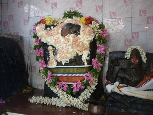 Srirangam Thiruvadi anjaneyar Vidayatri Utsavam -2015-15
