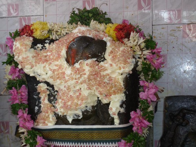 Srirangam Thiruvadi anjaneyar Vidayatri Utsavam -2015-18