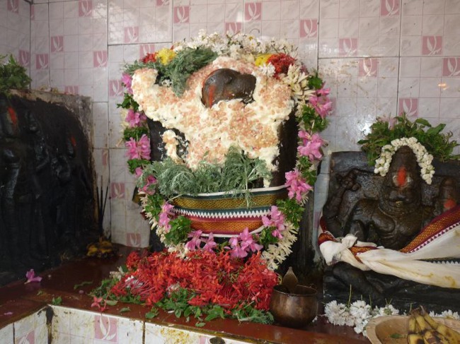 Srirangam Thiruvadi anjaneyar Vidayatri Utsavam -2015-19