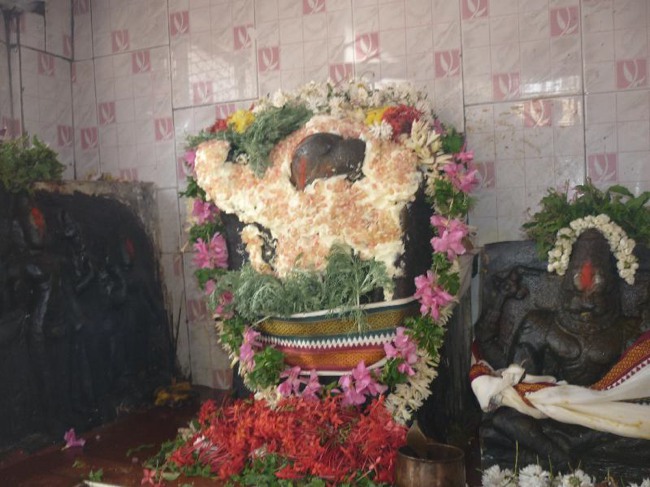 Srirangam Thiruvadi anjaneyar Vidayatri Utsavam -2015-20
