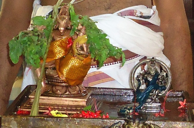 Srirangam  Vadakku Uthira veedhi Swami Desikan Sannadhi Masi Thiruvonam -2015-03
