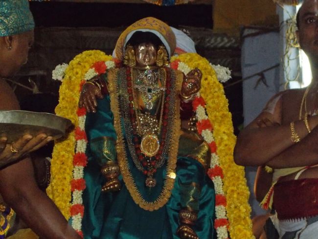 Srivilliputhur Nachiyar Kovil Neeratta Utsavam 2015-42