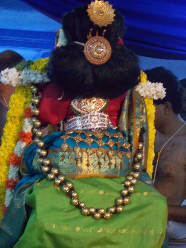 Srivilliputhur Nachiyar Kovil Neeratta Utsavam 2015-44