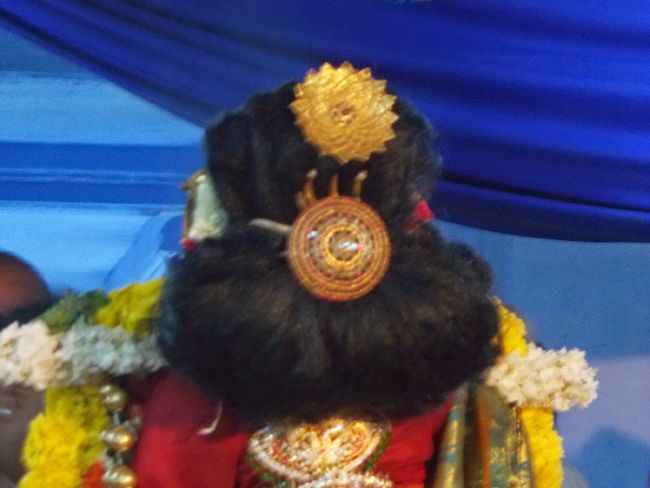 Srivilliputhur Nachiyar Kovil Neeratta Utsavam 2015-45