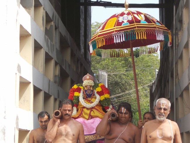 Srivilliputhur Nachiyar kovila THiruadhyayana Utsavam 2015-09