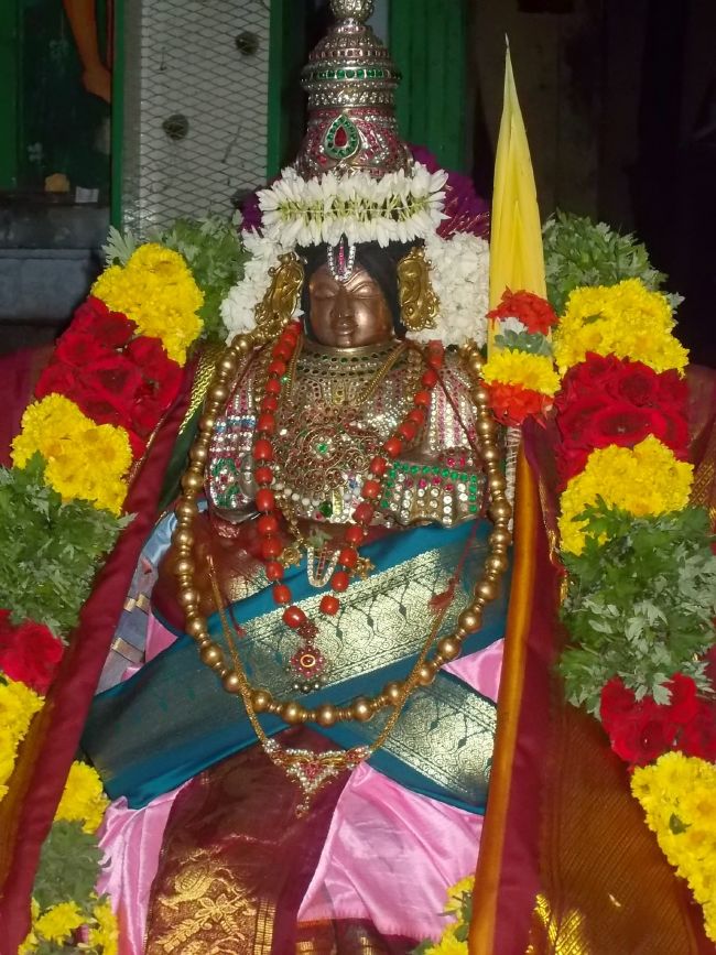 Srivilliputhur Sri Nachiyar Kovil Thiruadhyayana Utsavam day 11 to 15  2015-01