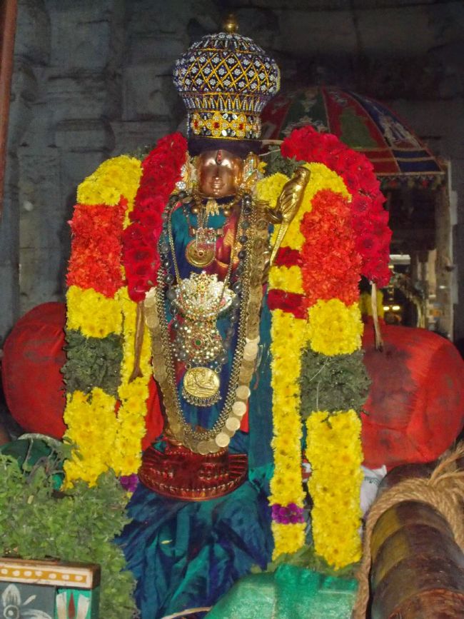Srivilliputhur Sri Nachiyar Kovil Thiruadhyayana Utsavam day 11 to 15  2015-14