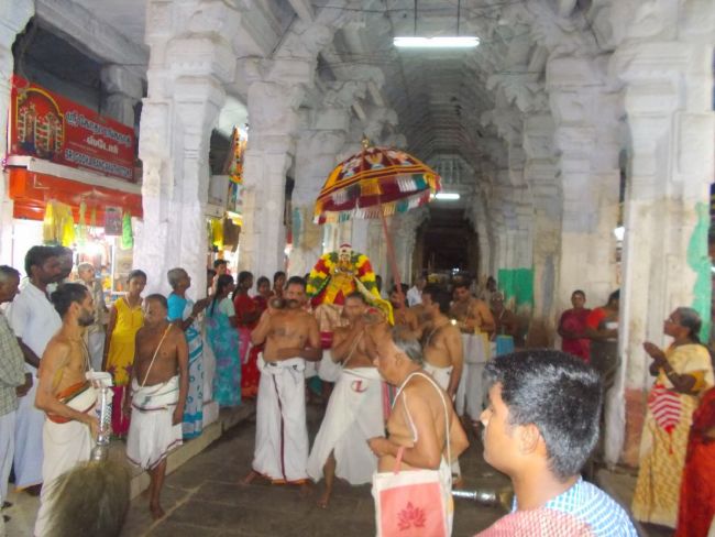 Srivilliputhur Sri Nachiyar Kovil Thiruadhyayana Utsavam day 11 to 15  2015-26