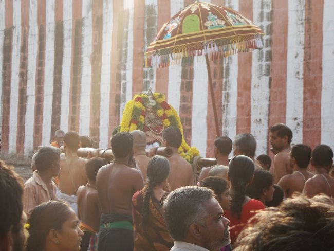 Srivilliputhur Sri Nachiyar Kovil Thiruadhyayana Utsavam day 11 to 15  2015-28