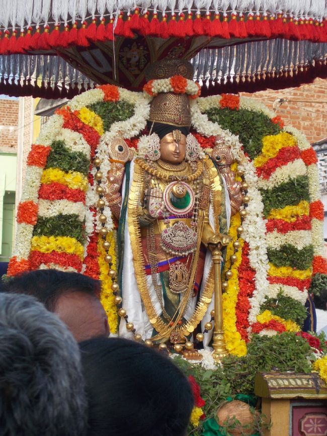 Srivilliputhur Sri Nachiyar Kovil Thiruadhyayana Utsavam day 11 to 15  2015-30