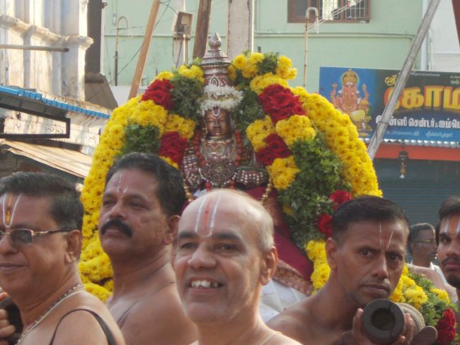Srivilliputhur Sri Nachiyar Kovil Thiruadhyayana Utsavam day 11 to 15  2015-31