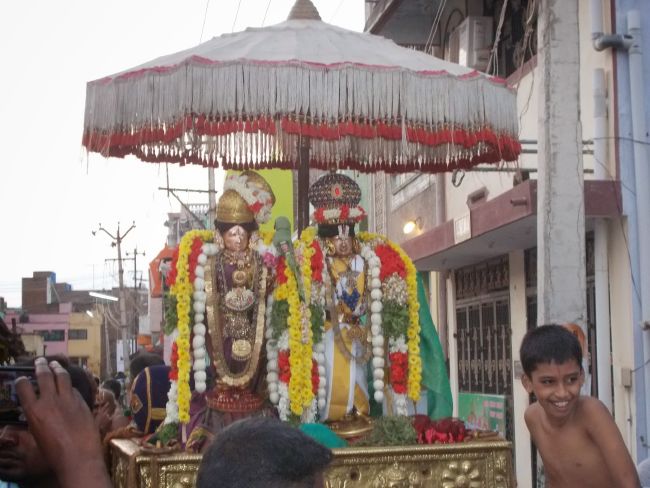 Srivilliputhur Sri Nachiyar Kovil Thiruadhyayana Utsavam day 11 to 15  2015-34
