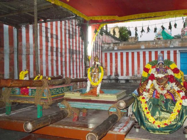 Srivilliputhur Sri Nachiyar Kovil Thiruadhyayana Utsavam day 11 to 15  2015-37