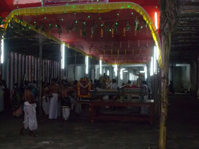 Srivilliputhur Sri Nachiyar Kovil Thiruadhyayana Utsavam day 11 to 15  2015-38
