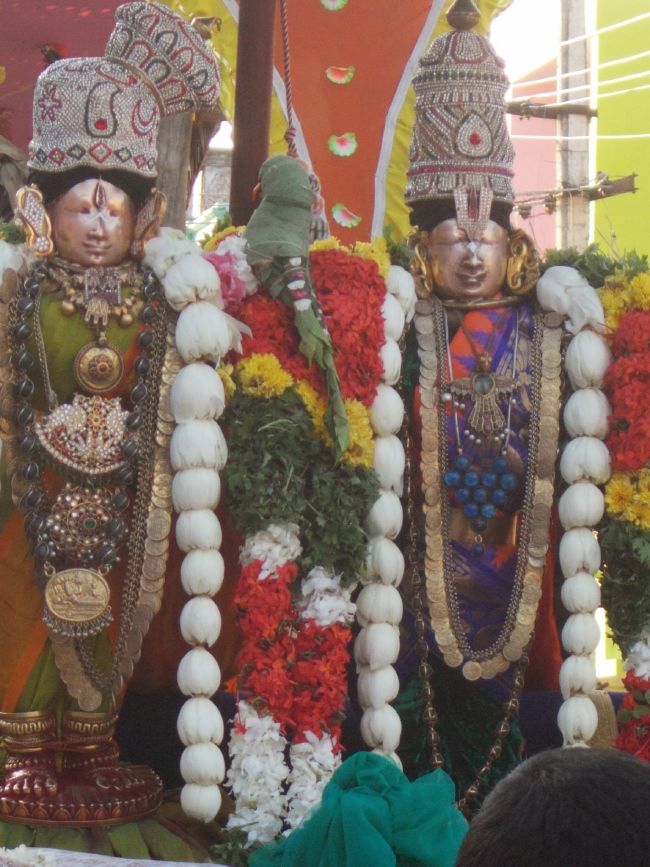 Srivilliputhur Sri Nachiyar Kovil Thiruadhyayana Utsavam day 11 to 15  2015-45