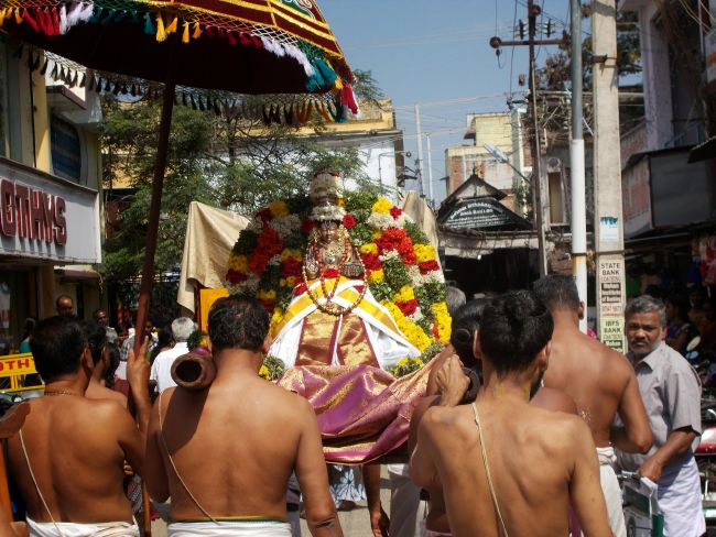 Srivilliputhur Sri Nachiyar Kovil Thiruadhyayana Utsavam day 11 to 15  2015-52
