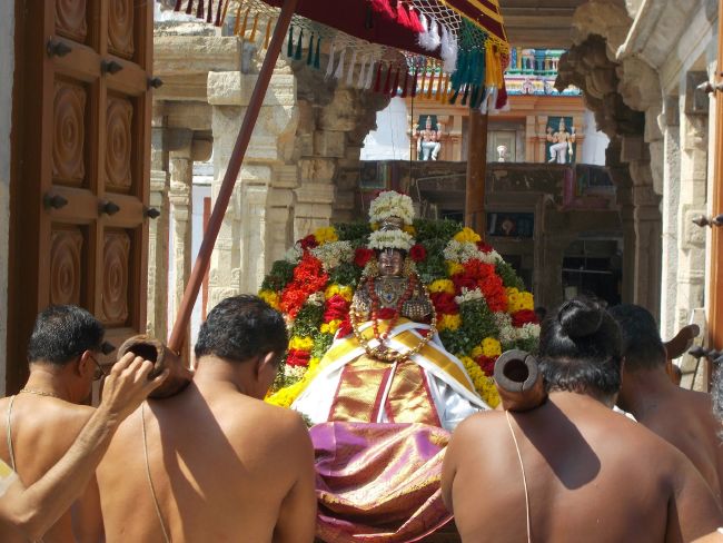 Srivilliputhur Sri Nachiyar Kovil Thiruadhyayana Utsavam day 11 to 15  2015-56