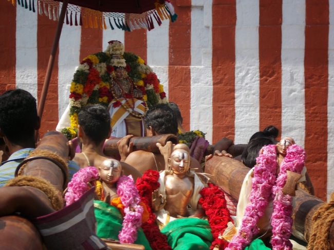 Srivilliputhur Sri Nachiyar Kovil Thiruadhyayana Utsavam day 11 to 15  2015-57