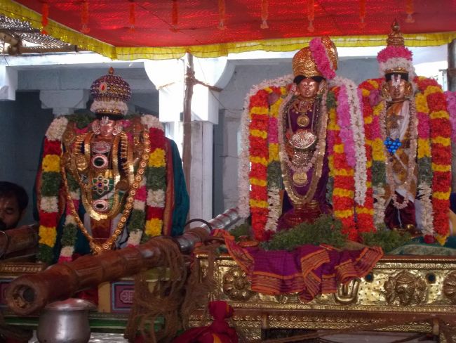 Srivilliputhur Sri Nachiyar Kovil Thiruadhyayana Utsavam day 11 to 15  2015-58