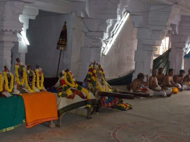 Srivilliputtur Sri Nachiyar Kovil THiruadhyayana Utsavam day 5 to 15 2015-05