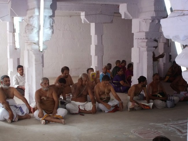 Srivilliputtur Sri Nachiyar Kovil THiruadhyayana Utsavam day 5 to 15 2015-07