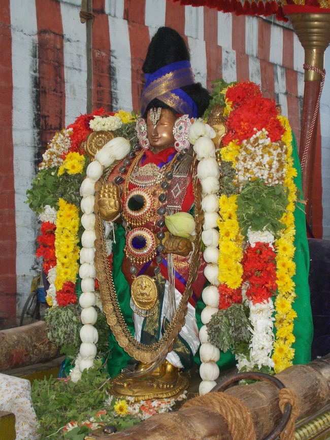 Srivilliputtur Sri Nachiyar Kovil THiruadhyayana Utsavam day 5 to 15 2015-16