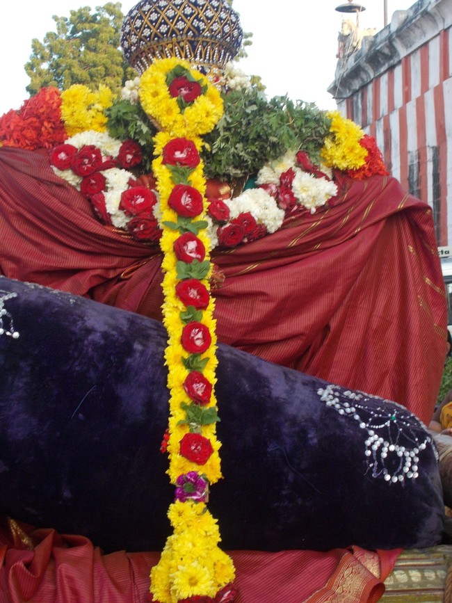 Srivilliputtur Sri Nachiyar Kovil THiruadhyayana Utsavam day 5 to 15 2015-22