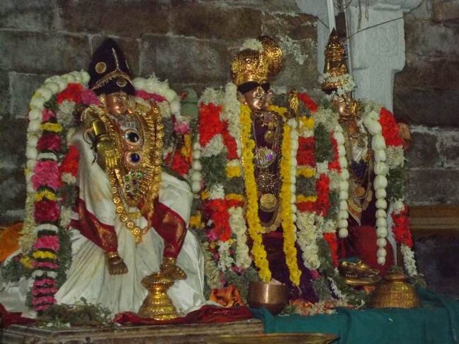 Srivilliputtur Sri Nachiyar Kovil THiruadhyayana Utsavam day 5 to 15 2015-29
