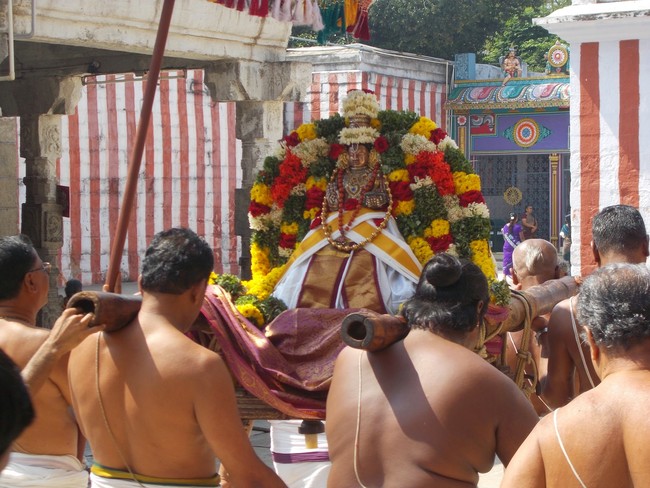 Srivilliputtur Sri Nachiyar Kovil THiruadhyayana Utsavam day 5 to 15 2015-42