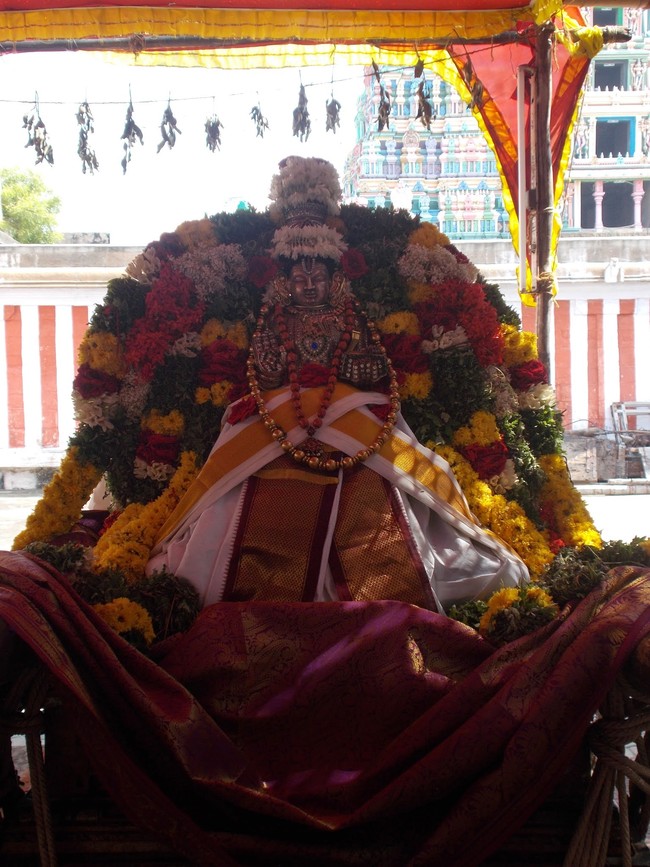 Srivilliputtur Sri Nachiyar Kovil THiruadhyayana Utsavam day 5 to 15 2015-45