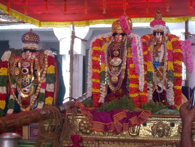Srivilliputtur Sri Nachiyar Kovil THiruadhyayana Utsavam day 5 to 15 2015-47