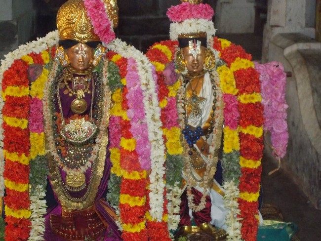 Srivilliputtur Sri Nachiyar Kovil THiruadhyayana Utsavam day 5 to 15 2015-49