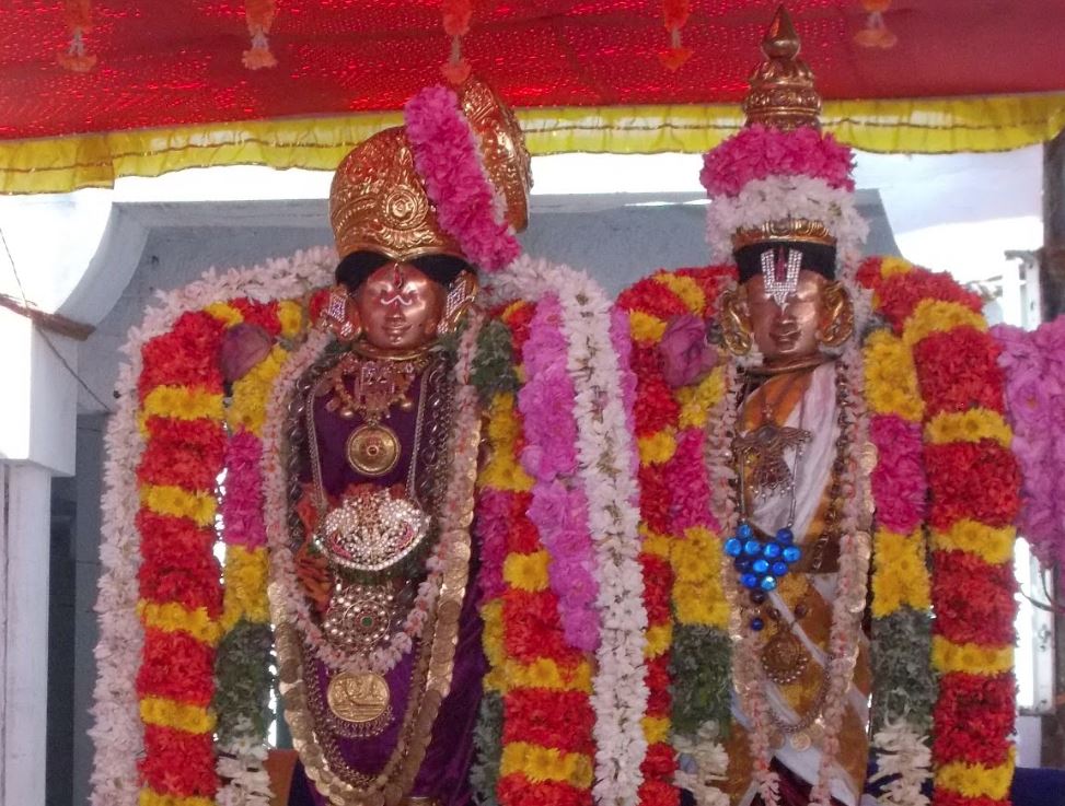 Srivillputtur thiruadhyayana Utsavam day 6 -15