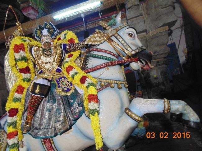 THirucherai Saranatha Perumal temple Brahmotsavam Kudhirai vahanam 2015-3