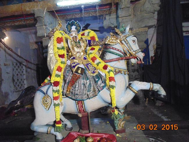 THirucherai Saranatha Perumal temple Brahmotsavam Kudhirai vahanam 2015-4