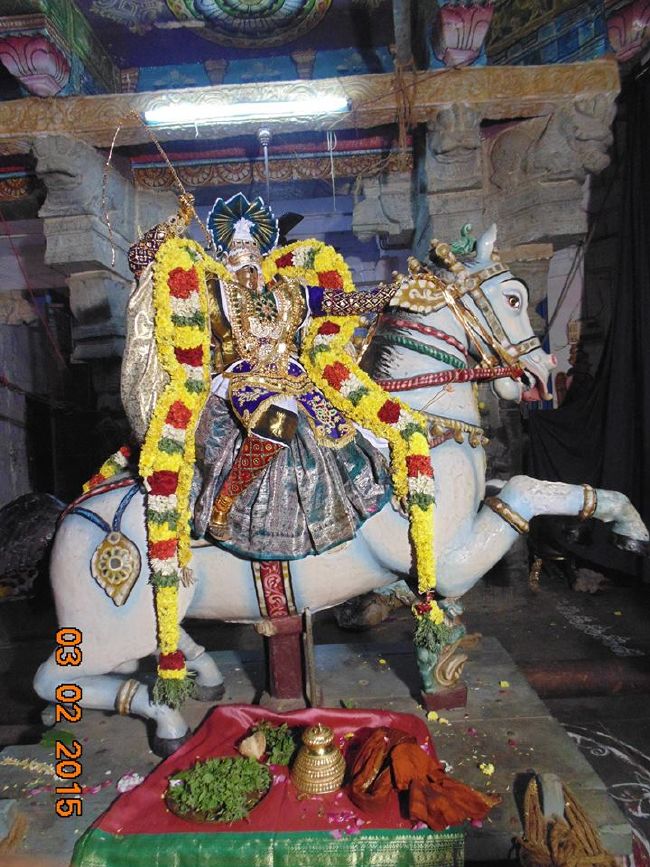 THirucherai Saranatha Perumal temple Brahmotsavam Kudhirai vahanam 2015-5