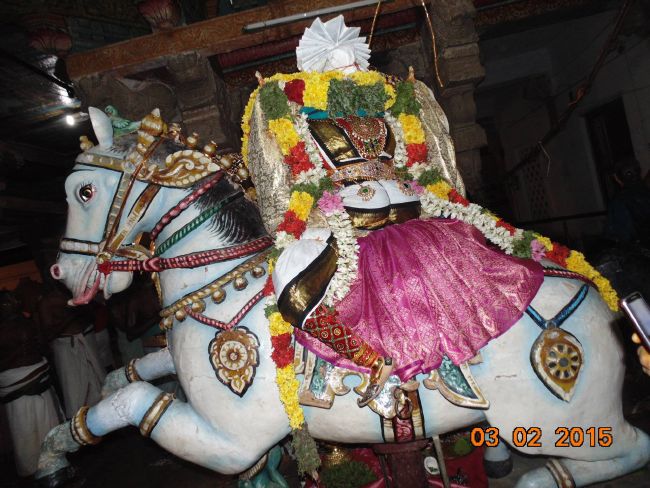 THirucherai Saranatha Perumal temple Brahmotsavam Kudhirai vahanam 2015-6