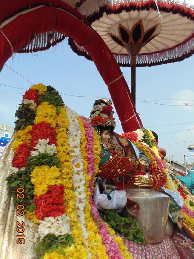 THirucherai Saranatha Perumal temple Brahmotsavam Vennai Thazi Utsavam 2015-01