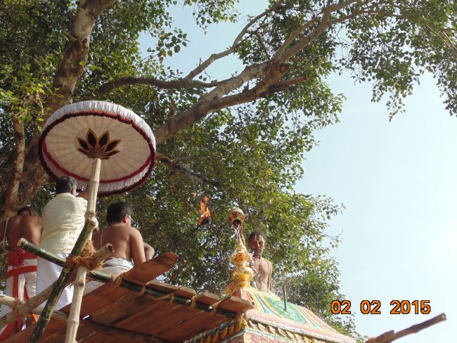 THirucherai Saranatha Perumal temple Brahmotsavam Vennai Thazi Utsavam 2015-05