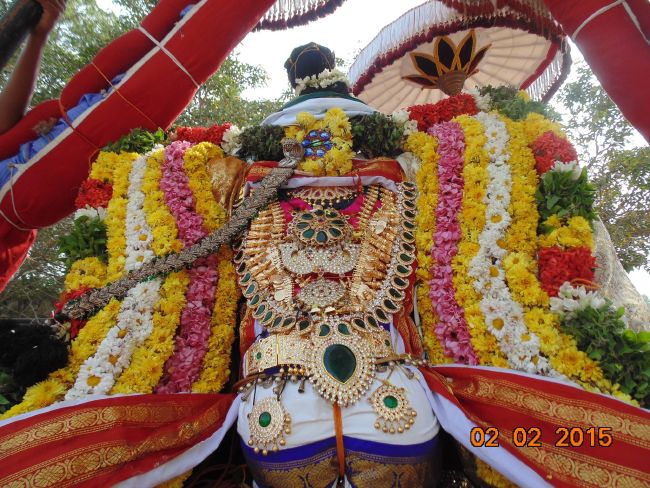 THirucherai Saranatha Perumal temple Brahmotsavam Vennai Thazi Utsavam 2015-08