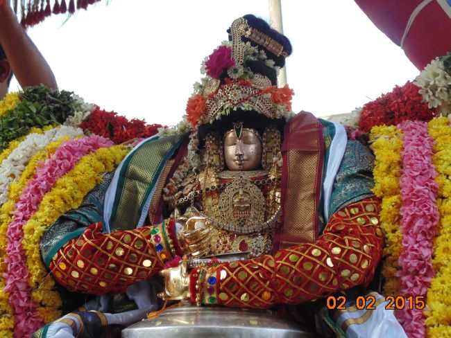 THirucherai Saranatha Perumal temple Brahmotsavam Vennai Thazi Utsavam 2015-11