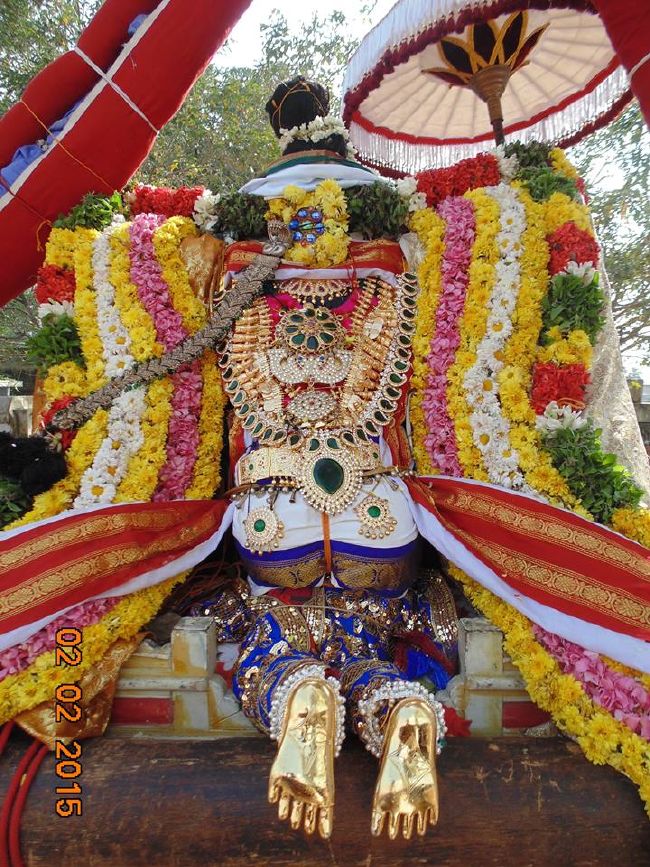 THirucherai Saranatha Perumal temple Brahmotsavam Vennai Thazi Utsavam 2015-16