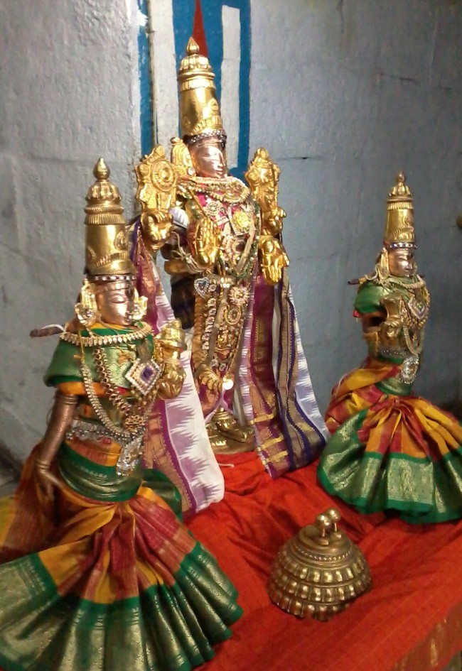 THiruvelukkai Sri Azhagiyasinga perumal Ekadasi alankaram and Mamunigal masa thirunakshatram  2015 -01