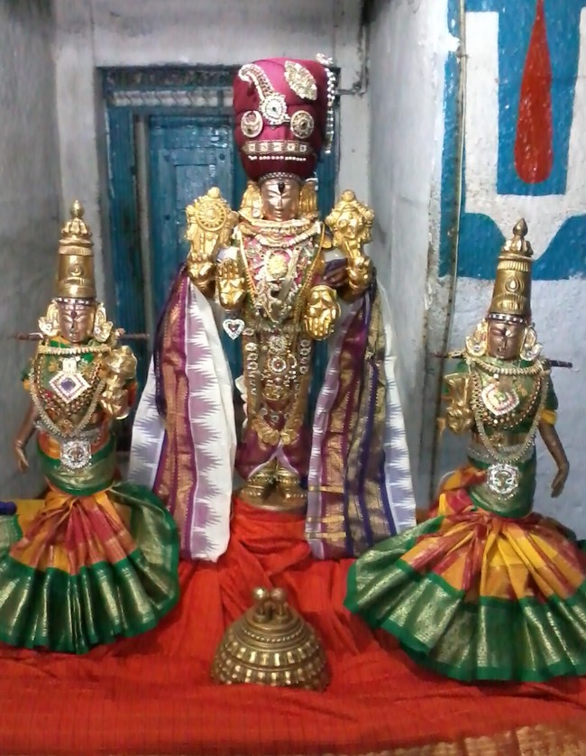THiruvelukkai Sri Azhagiyasinga perumal Ekadasi alankaram and Mamunigal masa thirunakshatram  2015 -03