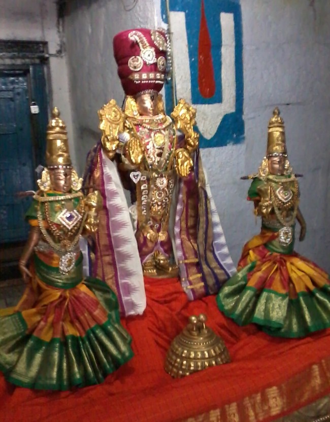 THiruvelukkai Sri Azhagiyasinga perumal Ekadasi alankaram and Mamunigal masa thirunakshatram  2015 -04