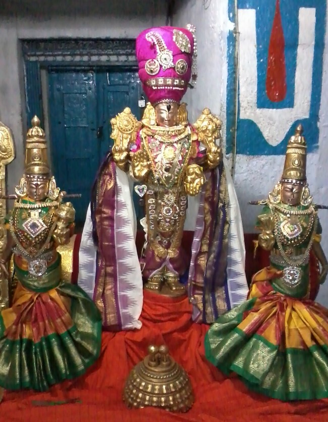 THiruvelukkai Sri Azhagiyasinga perumal Ekadasi alankaram and Mamunigal masa thirunakshatram  2015 -05