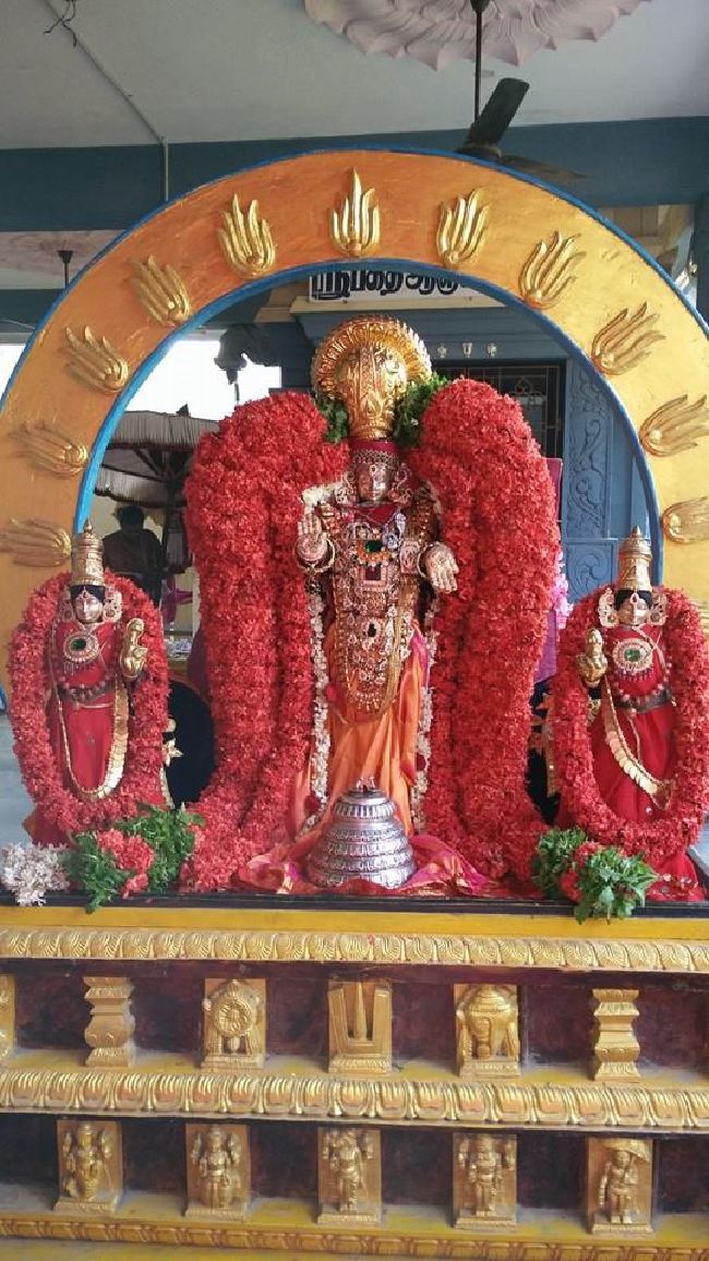 Taramani Sri Prasanna Venkatesa Perumal Temple Brahmotsavam Day 3 2015 -01