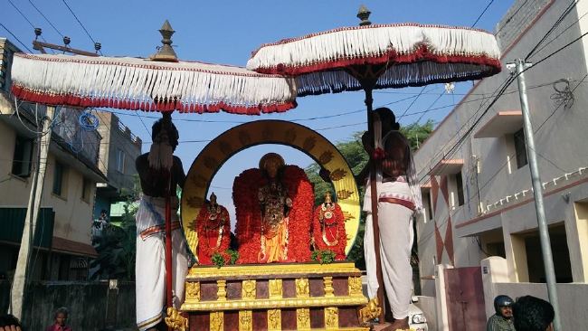 Taramani Sri Prasanna Venkatesa Perumal Temple Brahmotsavam Day 3 2015 -03