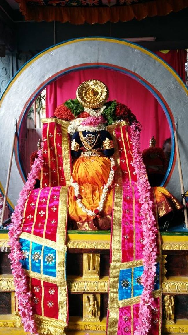 Taramani Sri Prasanna Venkatesa Perumal Temple Brahmotsavam Day 3 2015 -05