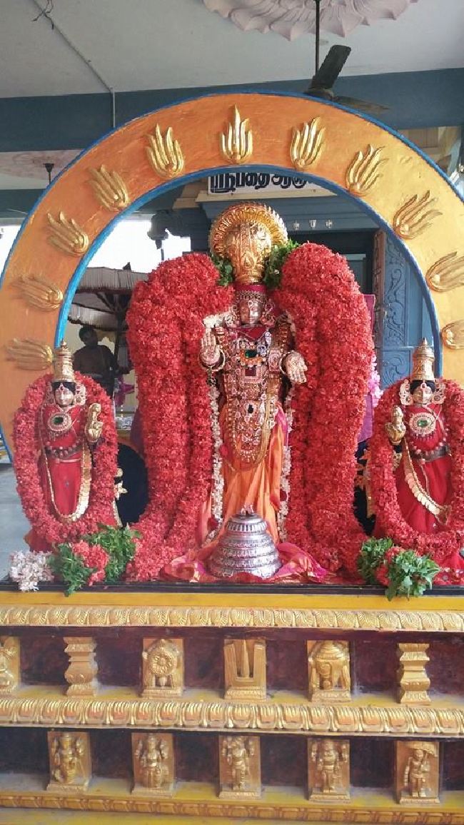 Taramani Sri Prasanna Venkatesa Perumal Temple Brahmotsavam Day 3 2015 -06